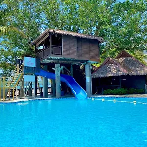 book here